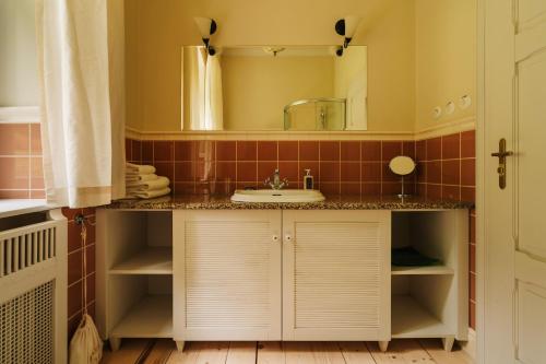 a bathroom with a sink and a mirror at Villa Titina in Miedzygorze