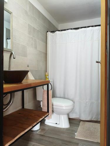 a bathroom with a toilet and a sink and a shower at Cabaña del Mirador 5 in Puerto Pirámides