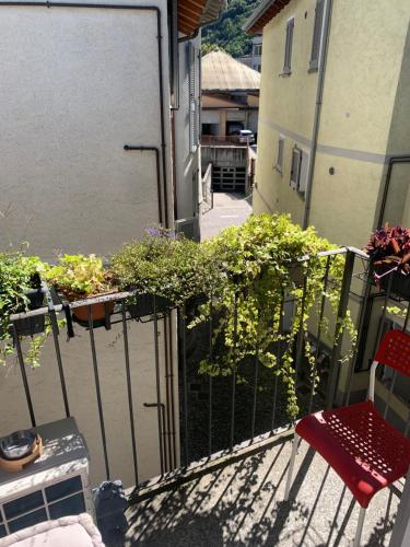 a balcony with a red chair and some plants at Casa di Leo in Morbegno