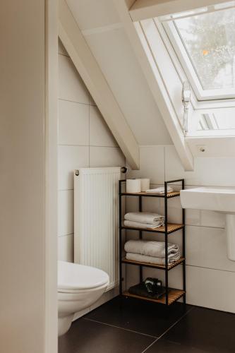 a bathroom with a toilet and a skylight at B&B Mollenvlied Veluwe in Vaassen