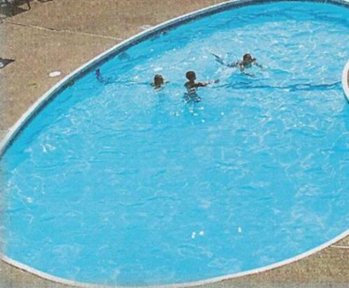 eine Gruppe von Personen, die in einem Schwimmbad schwimmen in der Unterkunft Hawk's Nest Lodge in Osage Beach