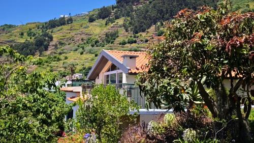 Vista Romantica Madeira