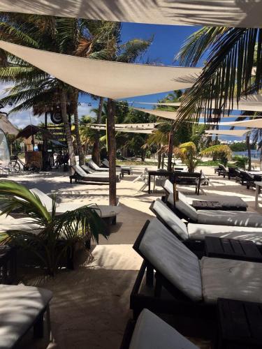 a group of lounge chairs and umbrellas on a beach at Hotel Luna De Plata in Mahahual