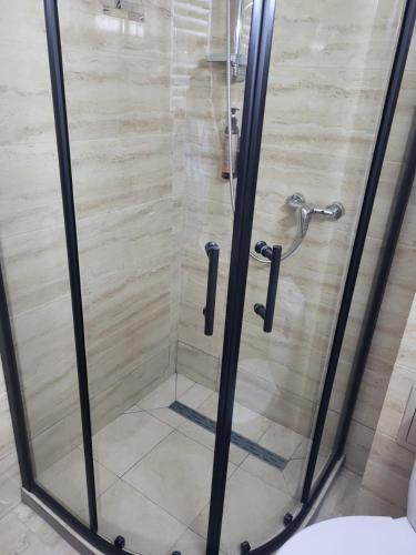 a shower with a glass door in a bathroom at Casa Diana in Curtea de Argeş