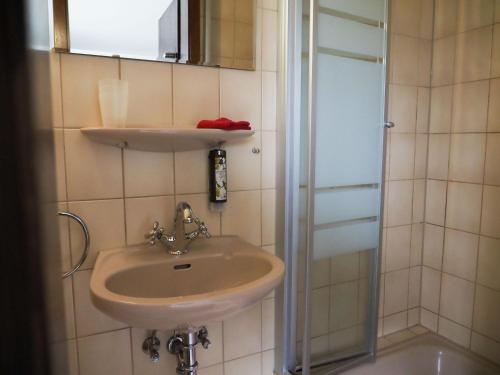 a bathroom with a sink and a shower at Lindenhof Hahn in Blankenrath