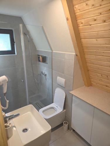 a small bathroom with a toilet and a sink at durmitor's golden peace in Šavnik