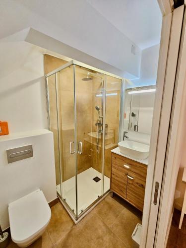 a bathroom with a shower and a toilet and a sink at Casa Laura João in Monsanto