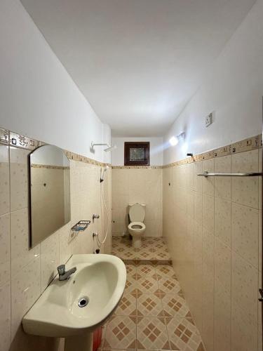 a bathroom with a sink and a toilet at Lion Isle Residence in Anuradhapura