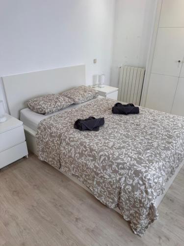 Exyca Homes Chueca