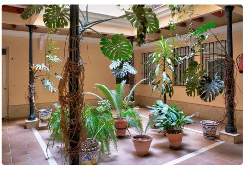 Antolinez Oasis - Central Apartment with Private Patio