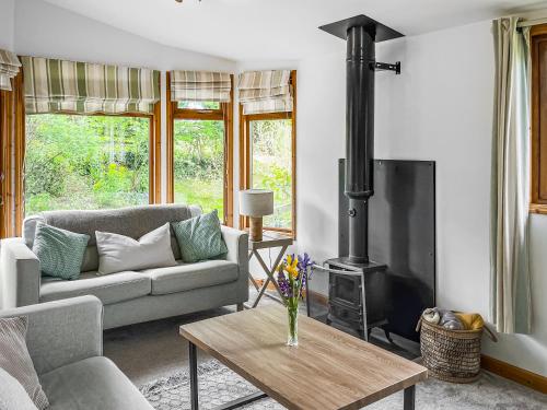 a living room with a couch and a fireplace at Torridge Lodge - Ukc9517 in Sheepwash