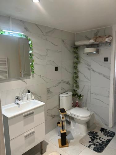 a bathroom with a white toilet and a sink at Entre Paris et Normandie in Mantes-la-Ville
