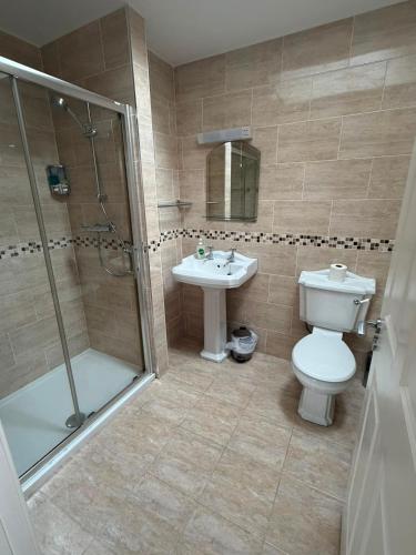 a bathroom with a toilet and a sink and a shower at The Twelve Oaks in Kenmare