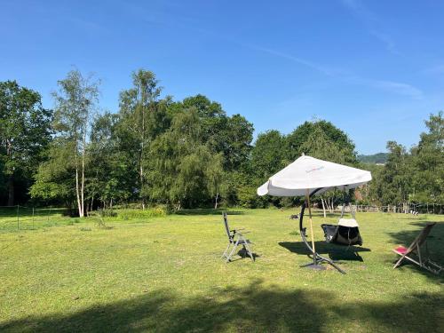 two chairs and an umbrella in a field at Woodlands camping in Greatham