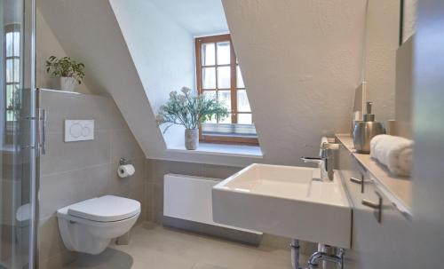 a bathroom with a sink and a toilet and a window at Zur Schleikate in Boren