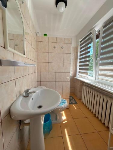 a bathroom with a sink and a toilet at Ośrodek Wczasowy Daga in Dziwnów
