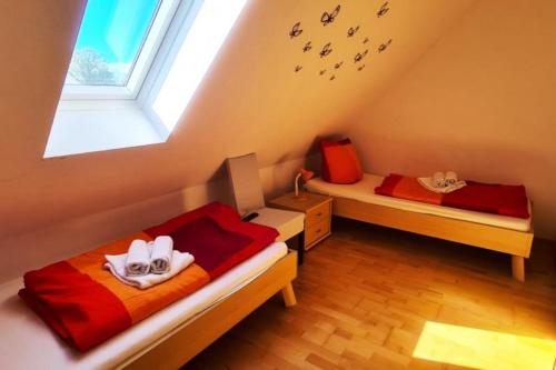 two beds in a room with birds on the wall at Haus Rüther in Borkum