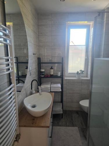 a bathroom with a sink and a toilet and a window at Apartament Stokrotka in Olszyny