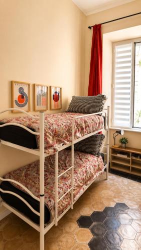 Plinio Suite