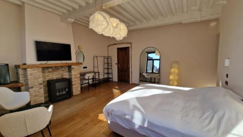 a bedroom with a bed and a tv and a fireplace at Suite Stays Bruges - Pandreitje 6 in Bruges