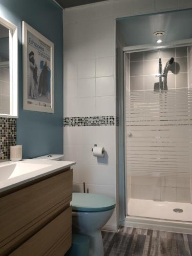 a bathroom with a blue toilet and a shower at T1 rez de jardin proche mer in Plérin