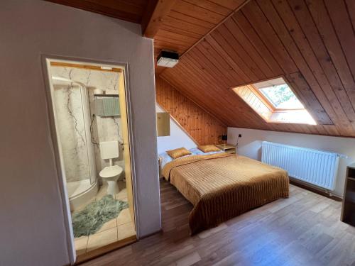 a bedroom with a bed and a skylight at Krásná pod Lysou horou in Krásná