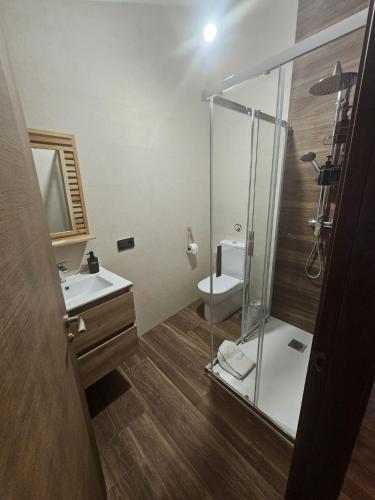 a bathroom with a shower and a sink and a toilet at El Lagar de Mailusa in Sayar