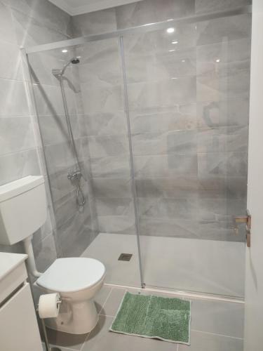 a bathroom with a shower and a toilet at Casa do Valinho 