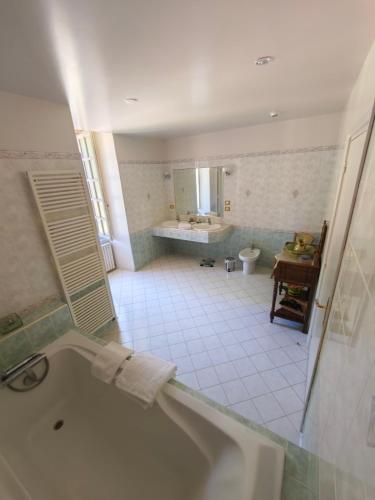 a bathroom with a tub and a sink at Château de la Moissetie in Aurillac