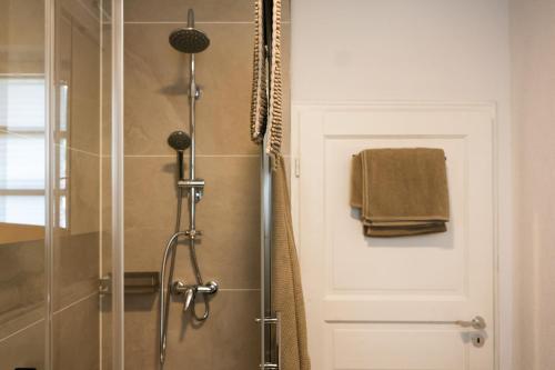 a bathroom with a shower with a glass door at Fewo zum Ritzli in Ettenheim