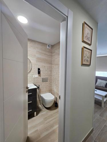a bathroom with a toilet and a sink at la herencia B VUT 1693 in Ponferrada