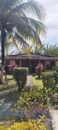 a resort with a palm tree and a building at Hotel Playa Santa Martha in Rivas