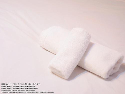 Amber Iidabashi - Vacation STAY 90542v