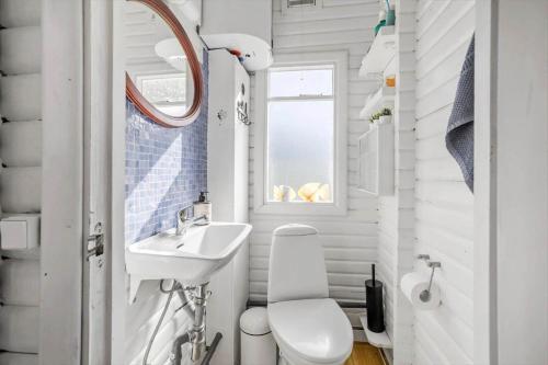 a small bathroom with a toilet and a sink at FJ1401-Jaegerspris-Hovdiget-5 in Jægerspris