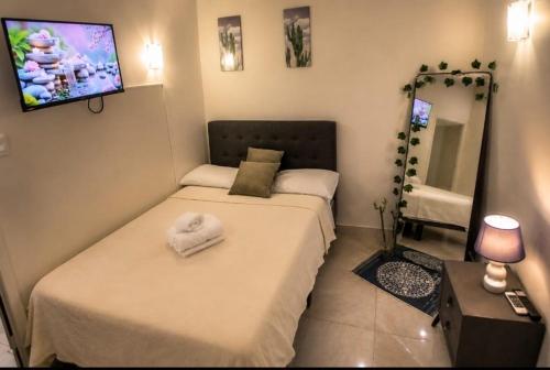 a bedroom with two beds and a tv on the wall at Apartament studio Acksen King in Willemstad