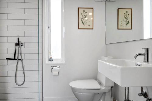 a white bathroom with a toilet and a sink at LF13025-Oster-Assels-Kanalstien-3 in Øster Assels