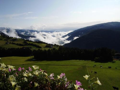 Pension Schifferegger – Photos 3