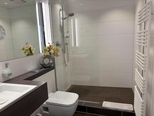 a bathroom with a toilet and a sink and a shower at Boardinghouse am Wall in Salzgitter-Bad