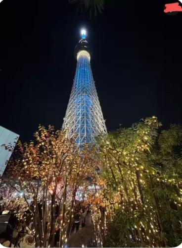 Skyhotel 晴空塔商圈 车站3分钟 直达机场 涉谷 迪士尼 上野 浅草1015