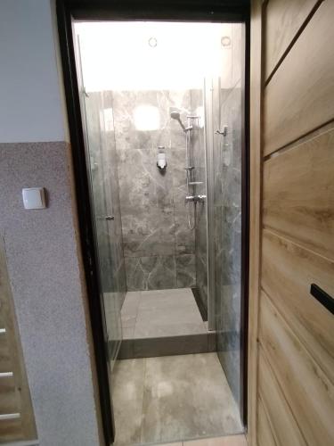 a bathroom with a shower with a glass door at Magnolia Home Rooms in Toruń