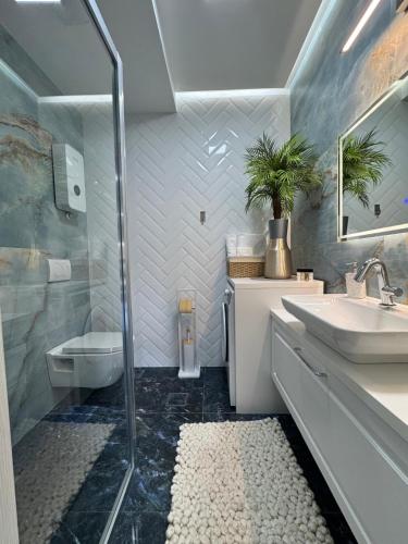 a bathroom with a shower and a sink and a toilet at Angel Luxury Apartment in Kikinda