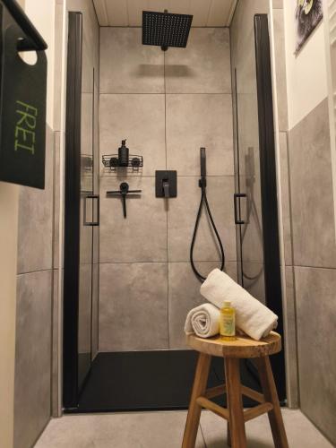 a shower with a glass door in a bathroom at Ferienwohnung Burgjuwel Burghausen nahe weltlängster Burg zentral 24h Check in in Burghausen