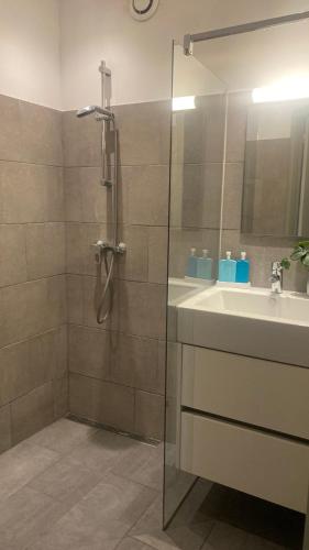 a bathroom with a shower and a sink and a mirror at Belmont-chambres 