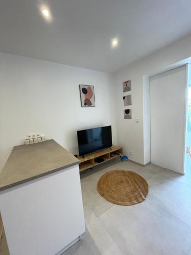 Magnifique appartement vue mer sur le Cap Dramont