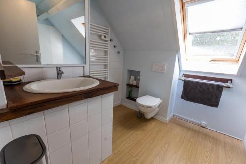 a bathroom with a sink and a toilet at Gîte le tuc d'esparre in Orist