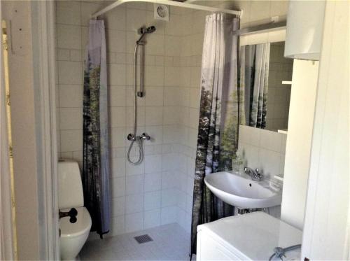 a bathroom with a shower and a toilet and a sink at 10081B-Rorvig-Skansehagevej-32 in Rørvig