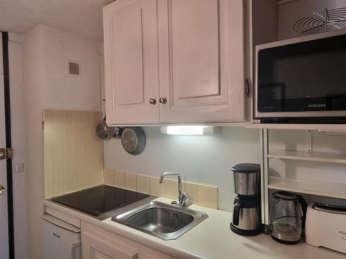 Studio divisible, ski aux pieds, terrasse, animaux admis