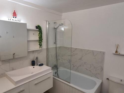 Studio divisible, ski aux pieds, terrasse, animaux admis