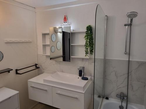 Studio divisible, ski aux pieds, terrasse, animaux admis