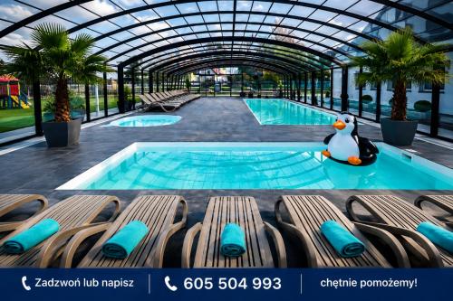 a swimming pool with a penguin sitting on a bench in a building at Domki Kotwica PARK Władysławowo - 3 Podgrzewane Baseny pod Kopułą in Władysławowo